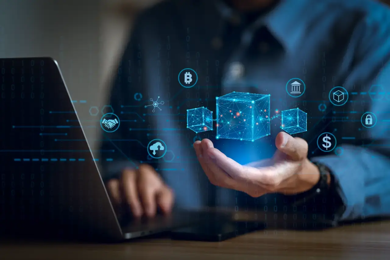Smart Contract-Based Partnership Program